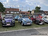 Zandlemig Vlaanderen